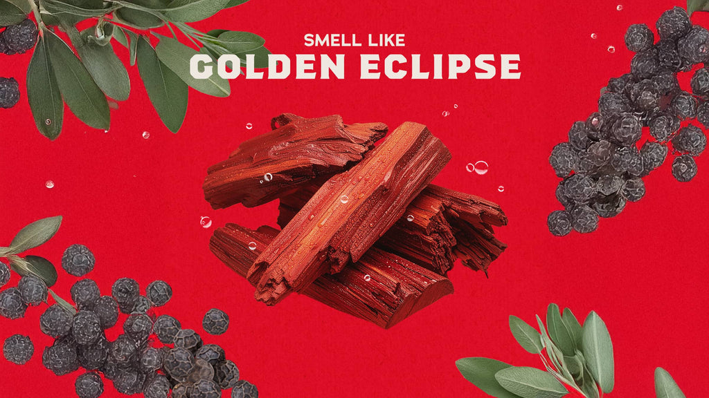 Scent inspiration imagery used on Dr. Squatch product pages